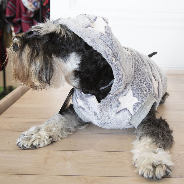 Outech Fleece Camisola Cinza com Estampa de Estrelas para cães, , large image number null